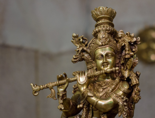 HFB PDF Magazine 2024